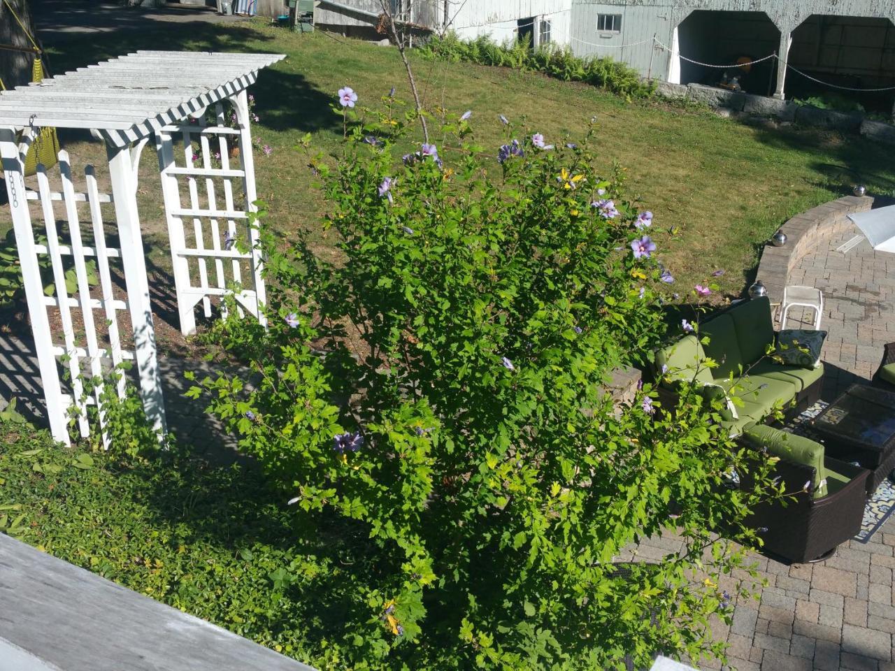 The Bevin House B&B East Hampton Buitenkant foto